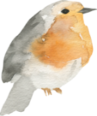 Jopiefonds